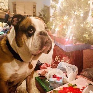 Meet your Posher, Rozanne